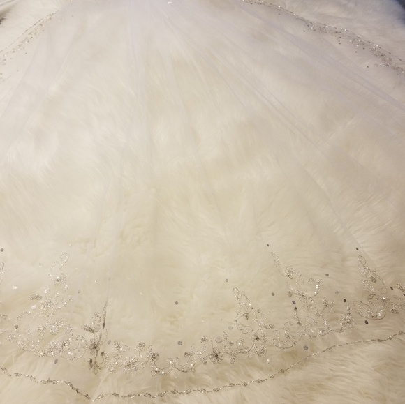 Beautifully detailed bridal veil